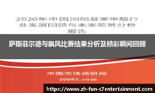 萨斯菲尔德与飙风比赛结果分析及精彩瞬间回顾